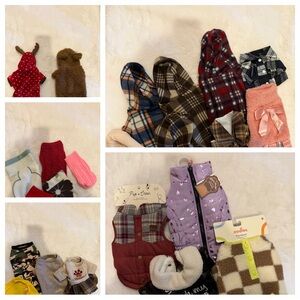 Assorted Pet Clothing Bundle